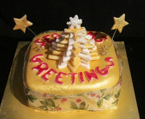 Kim's Christmas Cake 2