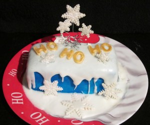 Kim's Christmas Cake 5