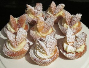 Kim's Butterfly Cakes