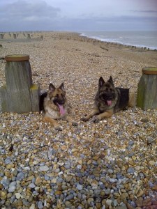 the hairy hoolies on Winchelsea Beach April 2013