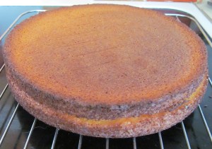 Kim's Wimbledon Sponges