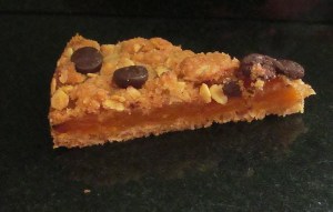Kim's Apricot & Chocolate Chip Bars