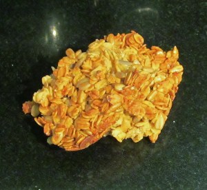 Kim's Oat & Sunflower Squares