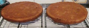 Kim's Nusskuchen sponges