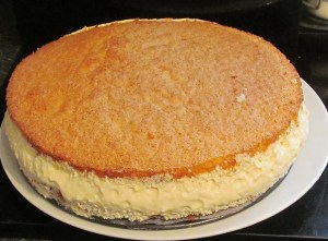 Kim's Angel Sponge Cheesecake